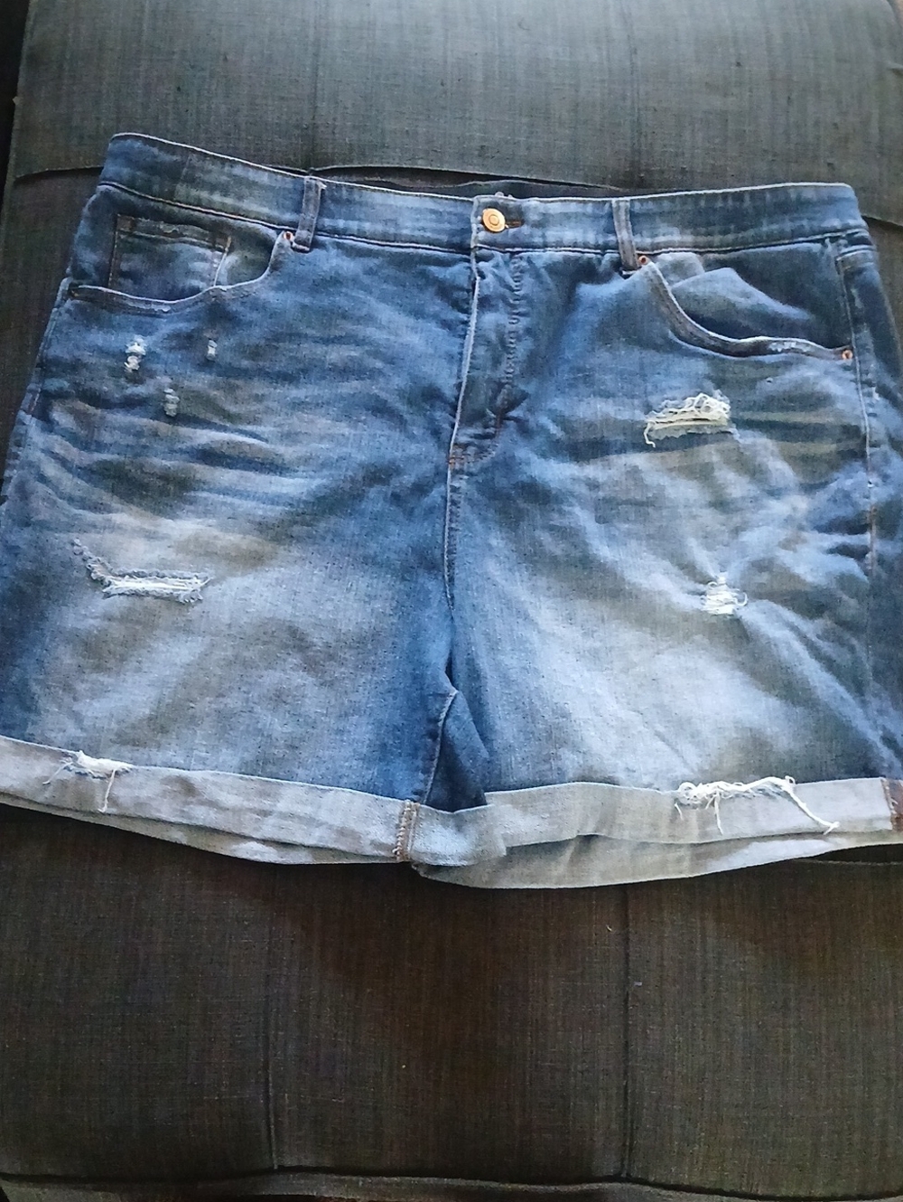 Terra & Sky Distressed Blue Rolled-Hem Denim Shorts